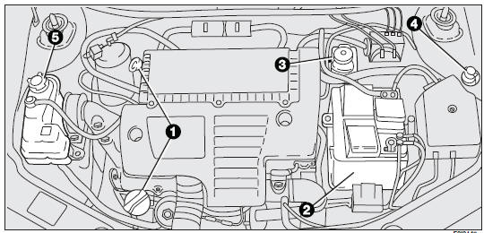 Fiat Punto: Checking fluid levels - Car maiintenance - Fiat Punto ...