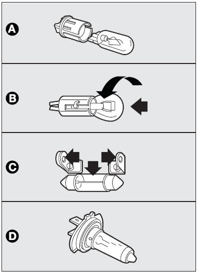 Types of bulbs