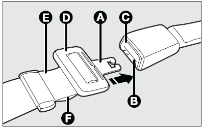 Seat belt without reel mechanism