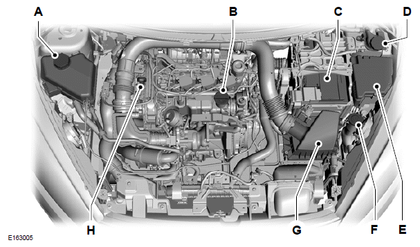 Ford Fiesta. Under Hood Overview - 1.0L EcoBoost