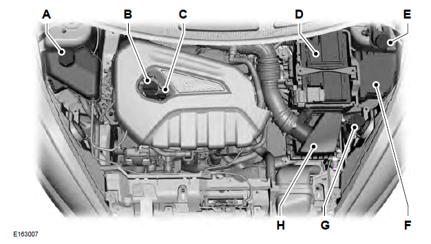 Ford Fiesta. Under Hood Overview - 1.6L EcoBoost