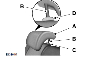 Ford Fiesta. Head Restraints