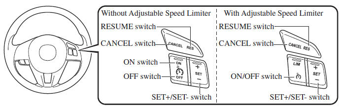 Cruise Control Switch