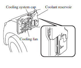 Engine Coolant