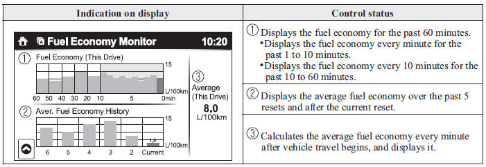 Fuel Consumption Display