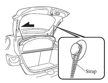 Luggage Compartment