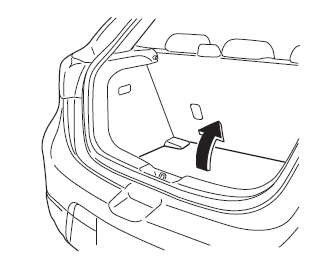 Cargo Sub-Compartment (Hatchback)