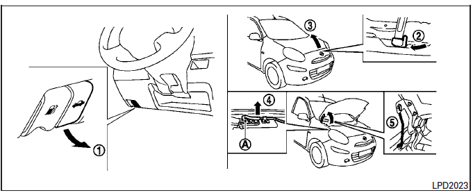 Nissan Micra. Hood