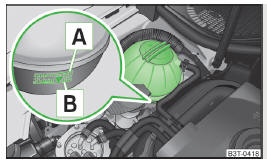 Fig. 129 Engine compartment: Coolant expansion reservoir