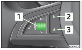 Fig. 101 Multifunction steering wheel: Control buttons and wheel