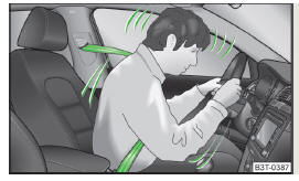 Fig. 3 Driver wearing seat belt