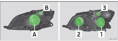 Fig. 154 Bulb arrangement: Halogen headlights/halogen projector headlights